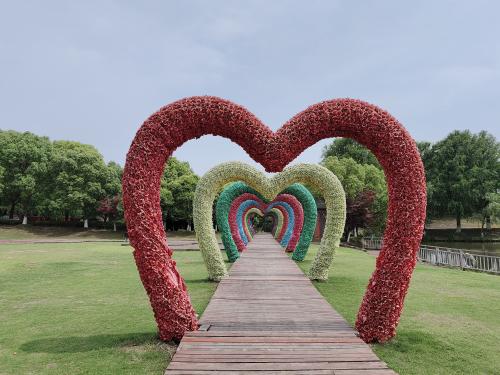 漫游周浦花海