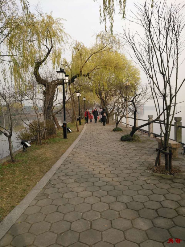 辞冬迎春无锡游——蠡园