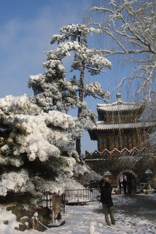 補發《北京三月桃花雪》