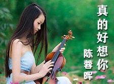 【真的好想你】陈蓉晖