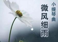 小提琴曲《微风细雨》