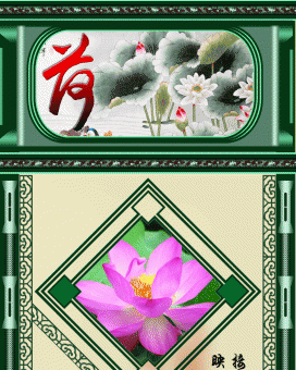 大图音画：荷花
