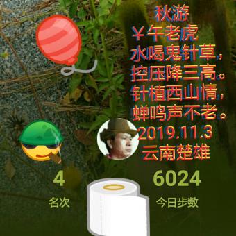 秋游