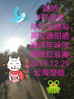 迎新