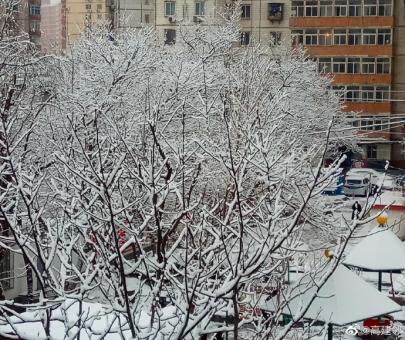 不负韶华送瑞雪