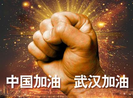 中国加油  武汉加油【虎子音畫】