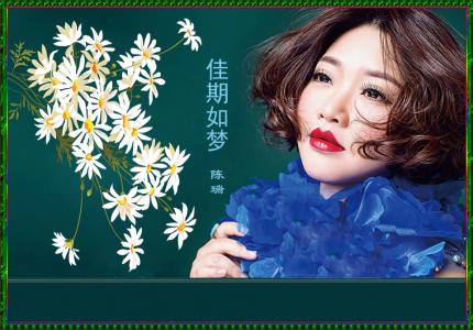 《佳期如梦》陈瑞