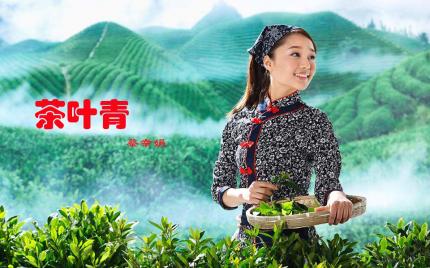 《茶叶青》蔡幸娟