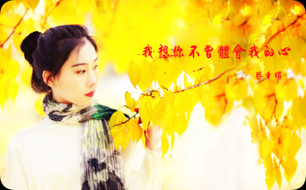 《我想你不曾体会我的心》蔡幸娟