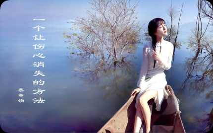 《一个让伤心消失的方法》蔡幸娟