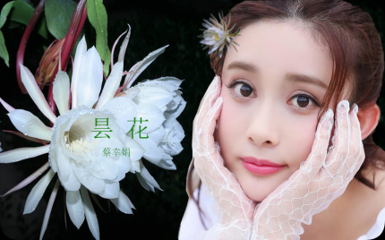 《昙花》蔡幸娟