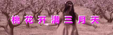 《歌 词 同 步 音 画》★ 桃花开满三月天 ★