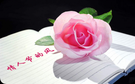 《情人节的风》晓月