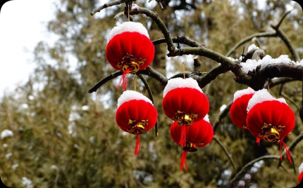 《又见雪花飞满天》雨露