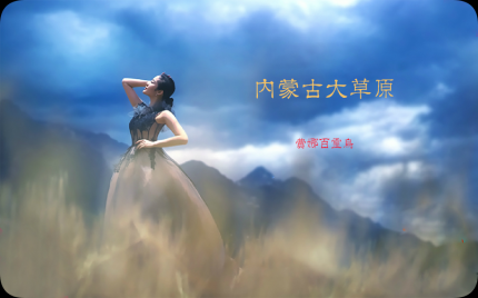 《内蒙古大草原》费娜百灵鸟