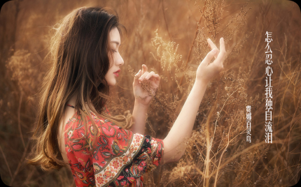 《怎么忍心让我独自流泪》费娜百灵鸟