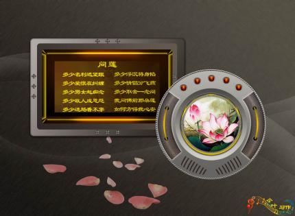单图－问莲，红枣树