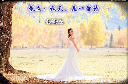 散文：秋天，是一首诗