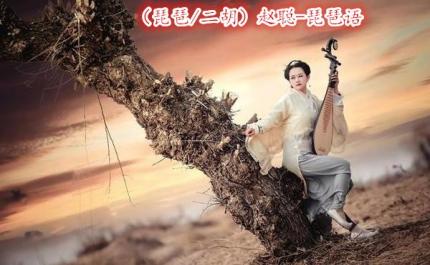纯音乐-（琵琶/二胡）赵聪-琵琶语