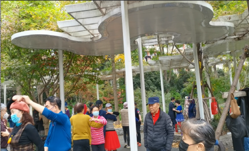 绿地中的快乐舞者