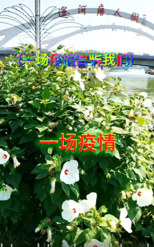一场疫情后告诉我们