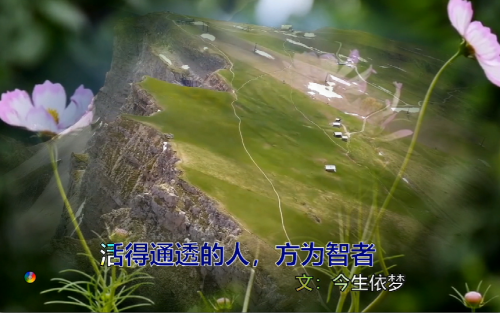 活得通透的人，方为智者