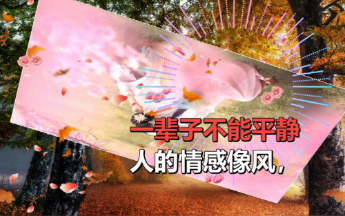 人的情感像风，一辈子不能平静