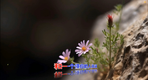 和一个懂你的人说话
