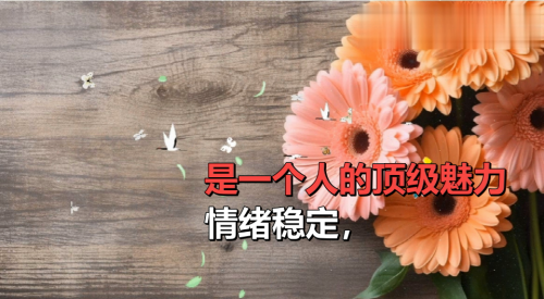 情绪稳定，是一个人的顶级魅力