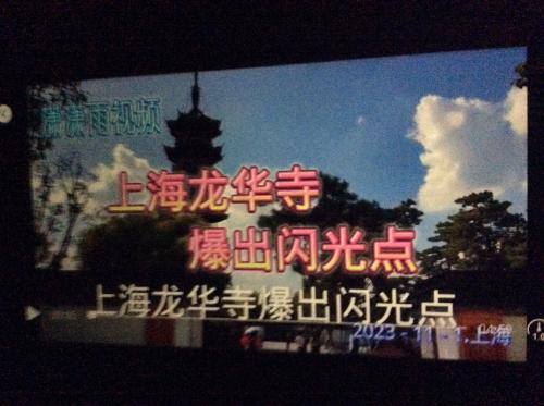 上海龙华寺爆出闪光点