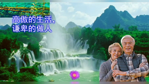 高傲的生活，谦卑的做人