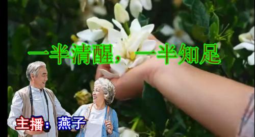 半清醒，一半知足