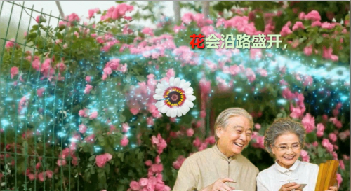 花会沿路盛开，好运也会如期而至