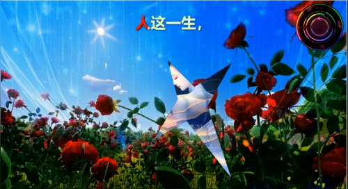 人这一生，做好自己，才美丽