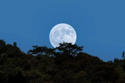 中秋赏月