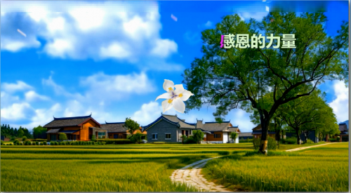 感恩的力量