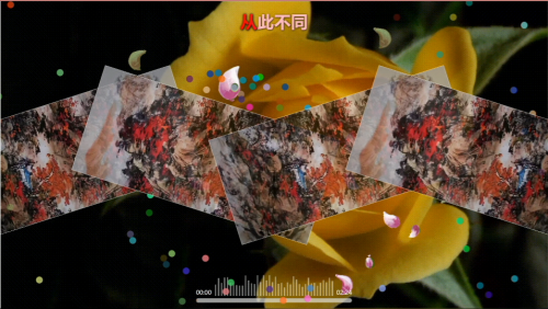 我的人生 从此不同