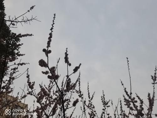 20190401裕二发展4