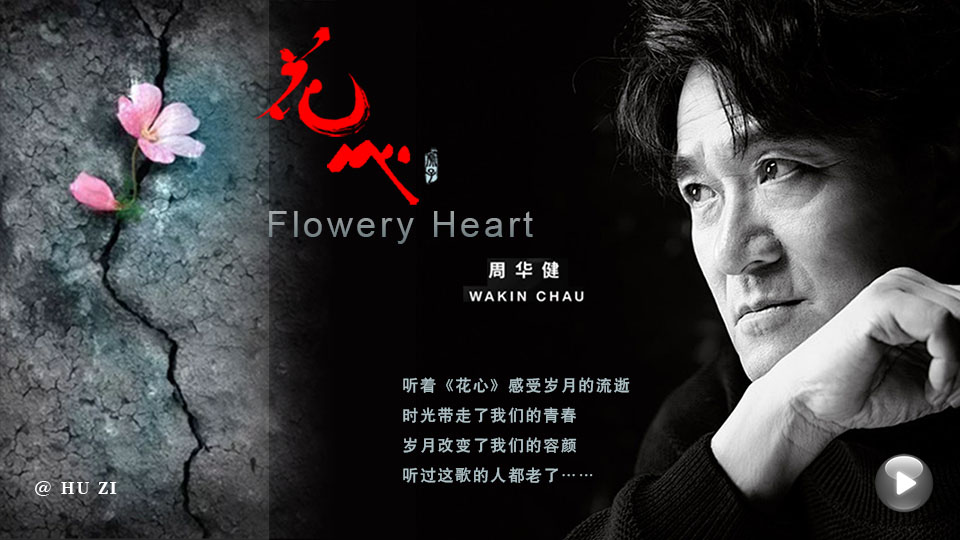经典老歌《《花心》》