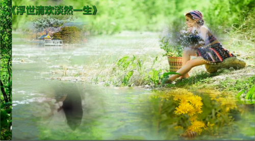 浮世清欢，淡然一生